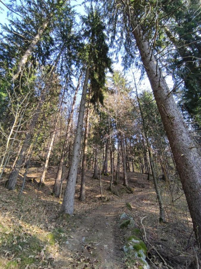 Pruensterhof Schenna Scena Exterior foto