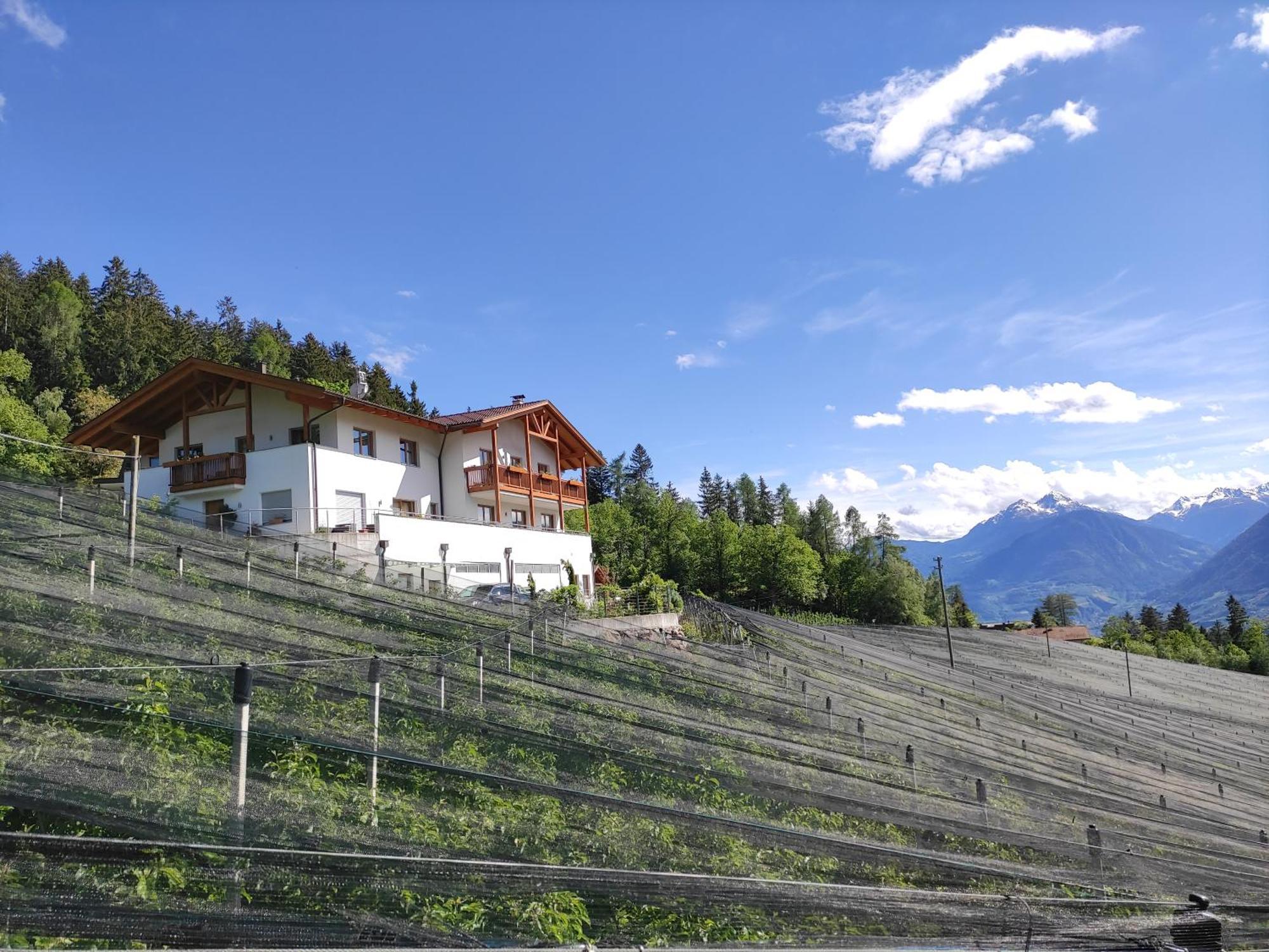 Pruensterhof Schenna Scena Exterior foto