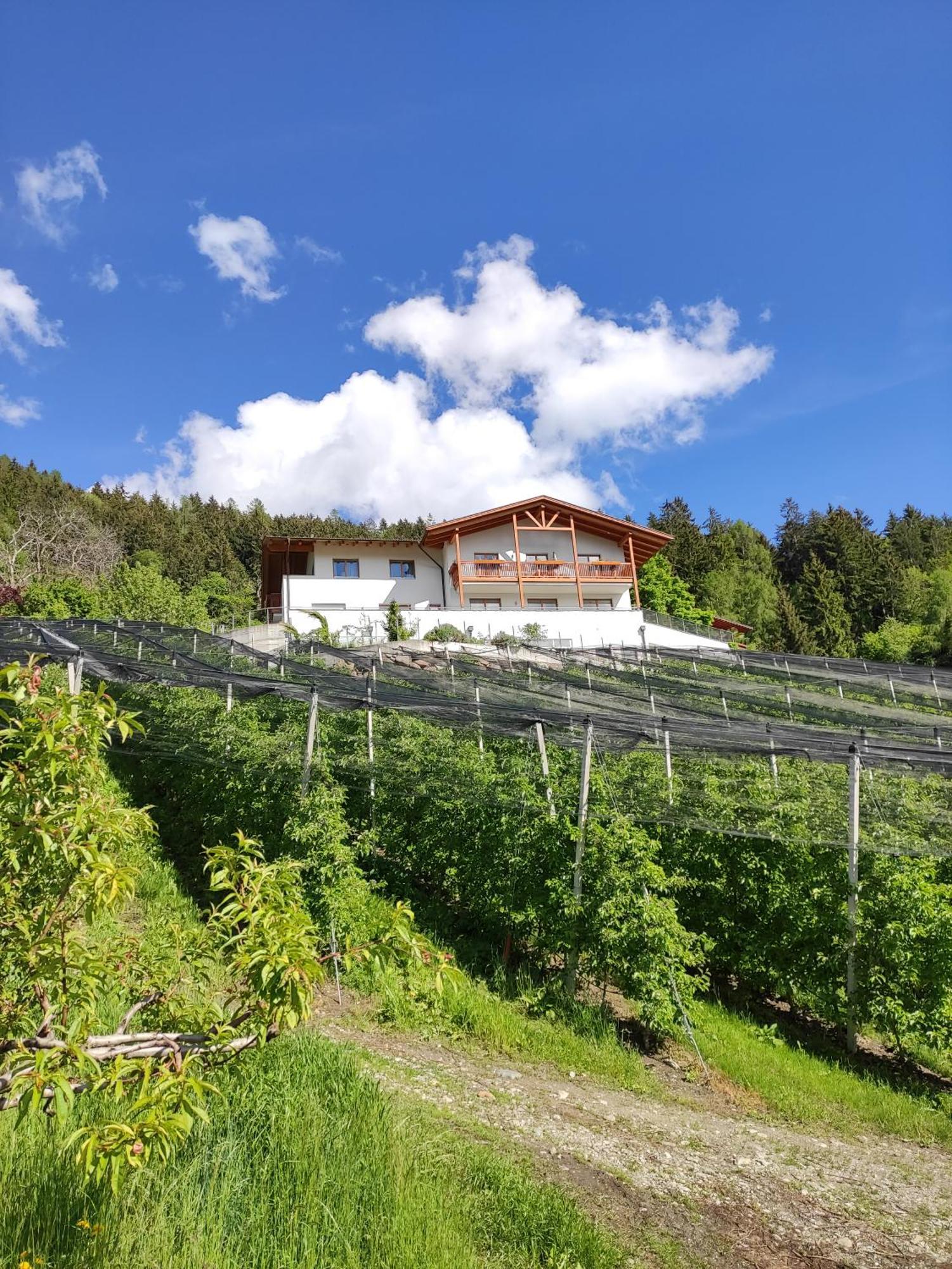 Pruensterhof Schenna Scena Exterior foto