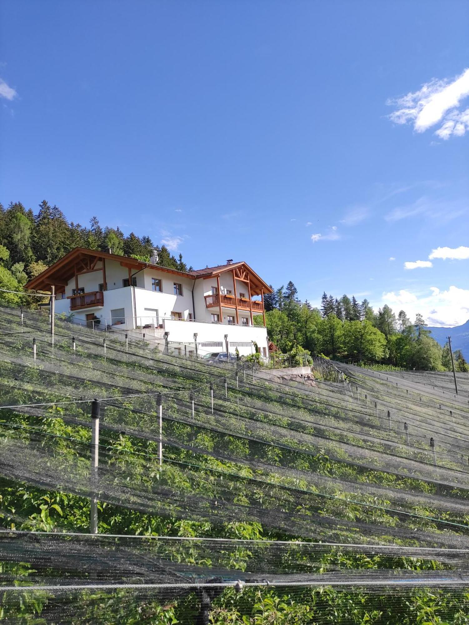 Pruensterhof Schenna Scena Exterior foto